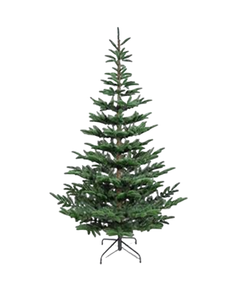 ნაძვის ხე Robin Hood 180 კლასიკური 180 სმ