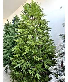 ნაძვის ხე Dz2303  240 სმ