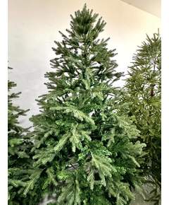 ნაძვის ხე Dz2304  240 სმ