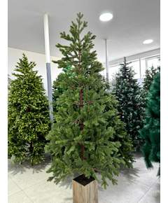 ნაძვის ხე Dz2309  210 სმ