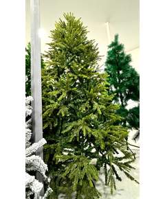 ნაძვის ხე Dz2314  240 სმ