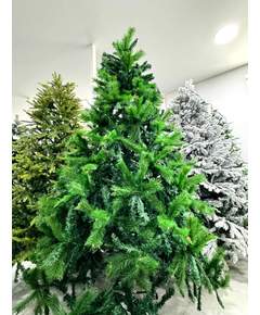 ნაძვის ხე Dz2317  240 სმ