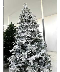 ნაძვის ხე Dz2323  240 სმ