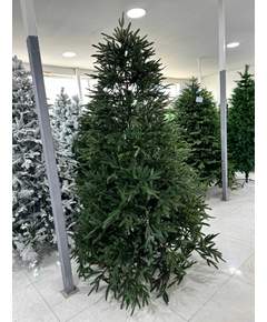 ნაძვის ხე Dz2324  240 სმ