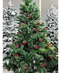 ნაძვის ხე Dz2330 გირჩებით 210 სმ