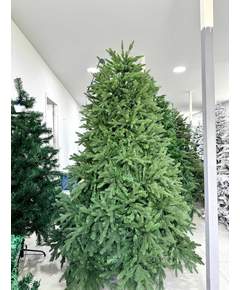 ნაძვის ხე Dz2343  210 სმ