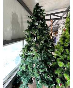 ნაძვის ხე Dz2350 გირჩებით 210 სმ