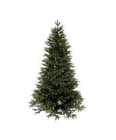 ნაძის ხე (AB-240) კოლორადო 240 სმ