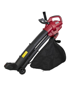 RAIDER-ის ბაღის ვაკუუმური საწმენდი RD-EBV04