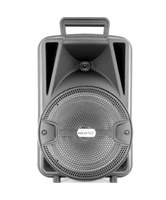 დინამიკი AILIANG A11 (2 mic )