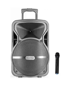 დინამიკი AILIANG A100 (1 mic)