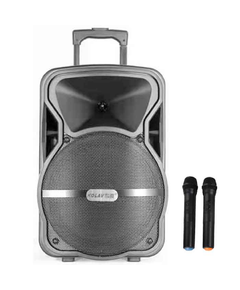 დინამიკი AILIANG A100 (2 mic)