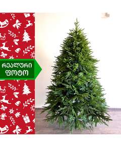 ნაძვის ხე ჰიმალაი 210სმ (II-210)