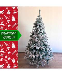 ნაძვის ხე პარიზი 120სმ (FF-120)