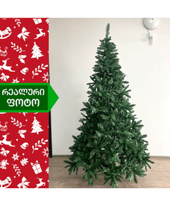 ნაძვის ხე კოპენჰაგენი 180 სმ (BB-180)