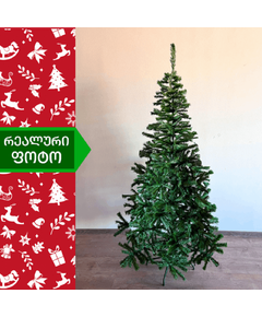 ნაძვის ხე ვაშინგტონი 150სმ (LL-150)