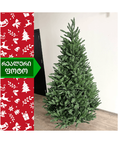 ნაძვის ხე ედინბურგი 210სმ (MM-210)