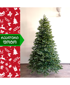 ნაძვის ხე დუბლინი 180 სმ (AA-180)