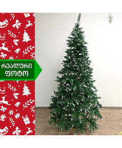 ნაძვის ხე ბერლინი 180სმ (GG-180)