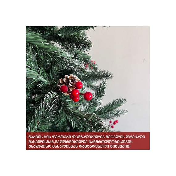 ნაძვის ხე (Vb-240)  ალასკა 240 სმ, 3 image