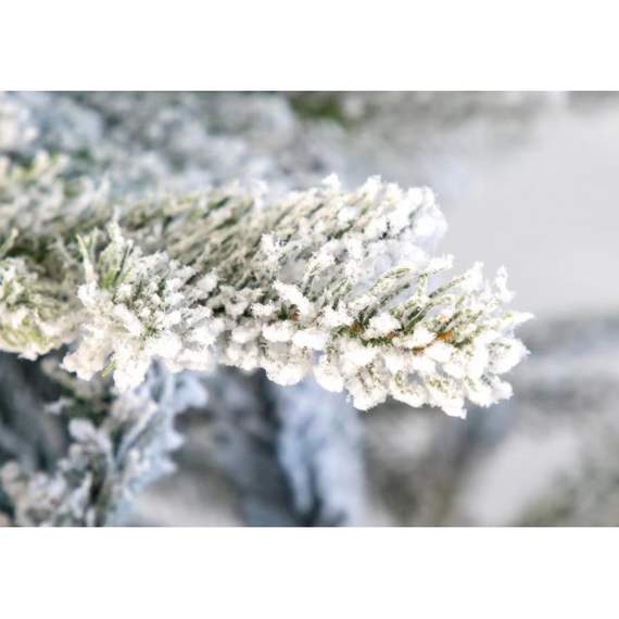 ნაძვის ხე Scandinavia დათოვლილი 180 სმ (გერმანია), 8 image