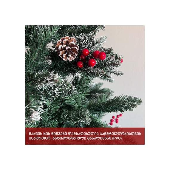 ნაძვის ხე (Vb-240)  ალასკა 240 სმ, 4 image