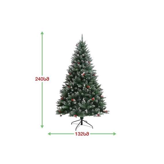 ნაძვის ხე (Vb-240)  ალასკა 240 სმ, 2 image