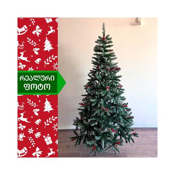 ნაძვის ხე (Vb-240)  ალასკა 240 სმ, 6 image