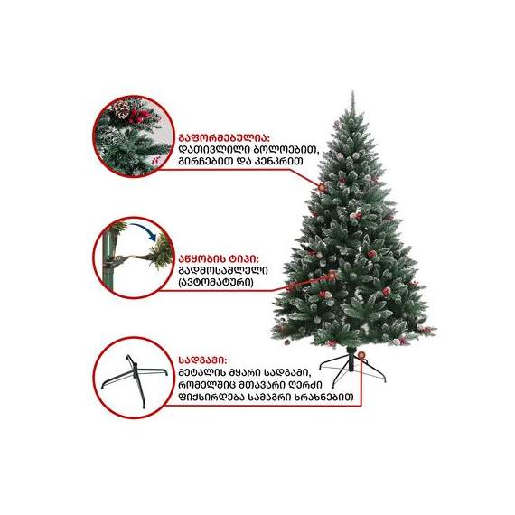 ნაძვის ხე (Vb-240)  ალასკა 240 სმ, 7 image