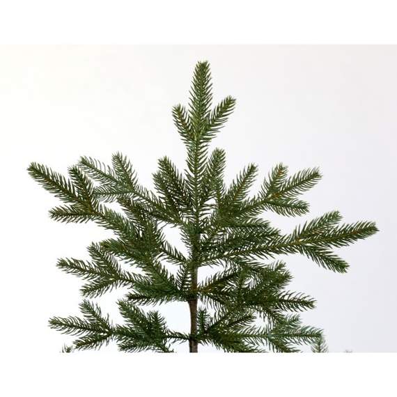 ნაძვის ხე Baroque 210 full PE tree 210 სმ (გერმანია), 3 image