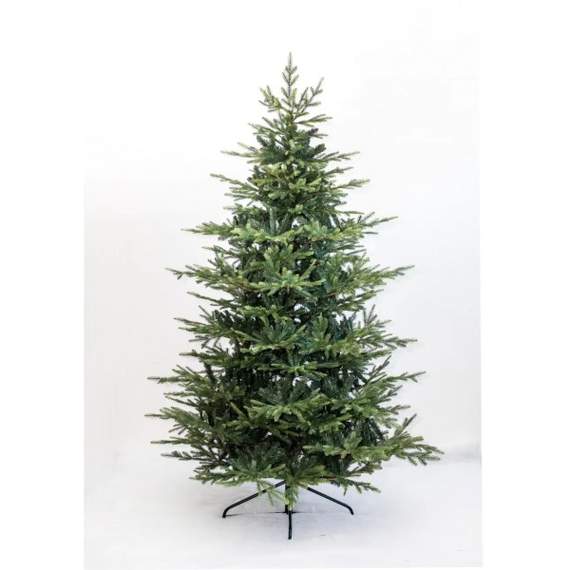 ნაძვის ხე Fraser Fir კლასიკური 180 სმ (გერმანია), 7 image