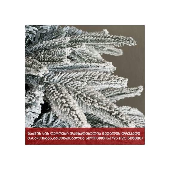 ნაძვის ხე აისბერგი (FG-180) 180სმ, 4 image