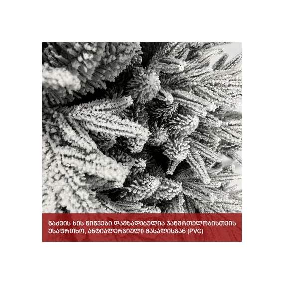 ნაძვის ხე აისბერგი (FG-180) 180სმ, 5 image