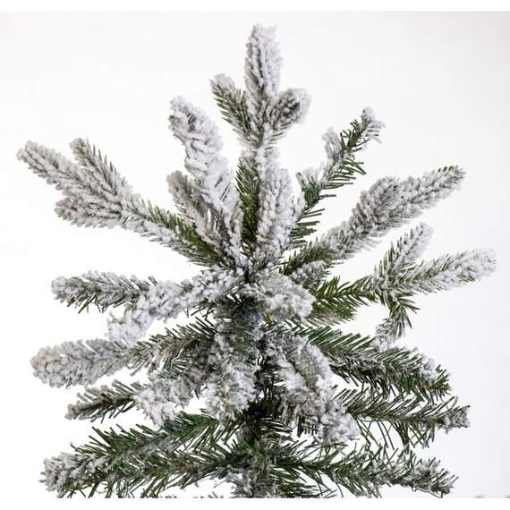 ნაძვის ხე Scandinavia დათოვლილი 270 სმ (გერმანია), 6 image