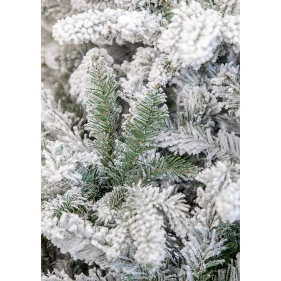 ნაძვის ხე Scandinavia დათოვლილი 210 სმ (გერმანია), 3 image