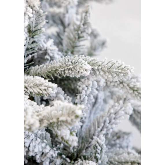 ნაძვის ხე Scandinavia დათოვლილი 210 სმ (გერმანია), 5 image