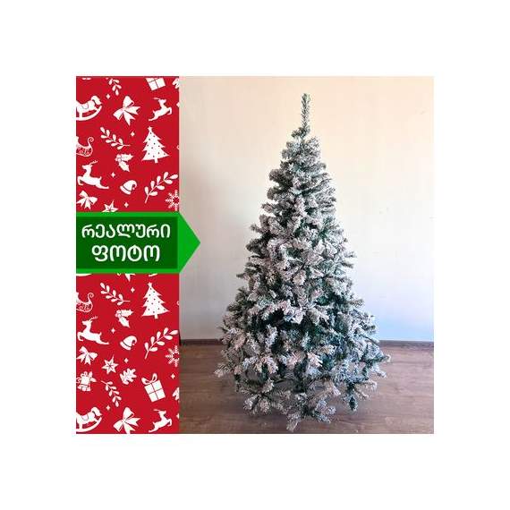 ნაძვის ხე (Zx-300) ბავარია 300 სმ, 3 image