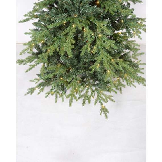 ნაძვის ხე Dusseldorf 240 ნათურებით 240 სმ, 2 image