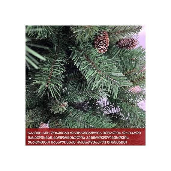 ნაძვის ხე (Vc-270) ნორვეგია 270 სმ, 4 image