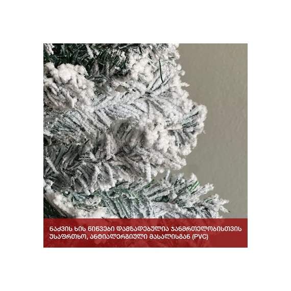 ნაძვის ხე (Zx-180) ბავარია 180 სმ, 4 image