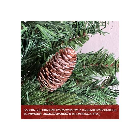 ნაძვის ხე (Vc-270) ნორვეგია 270 სმ, 3 image