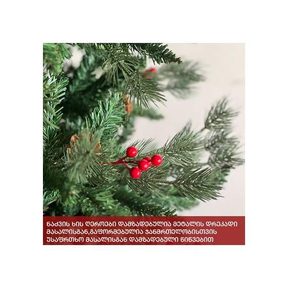 ნაძვის ხე (Xc-210) ალაბამა 210 სმ, 4 image