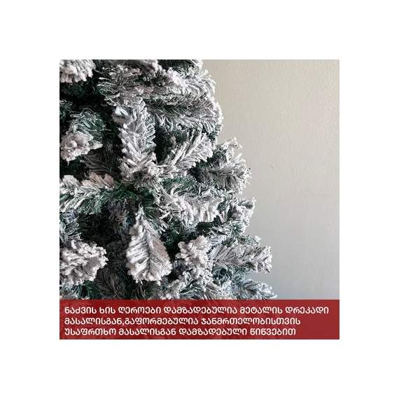 ნაძვის ხე (Zx-180) ბავარია 180 სმ, 5 image