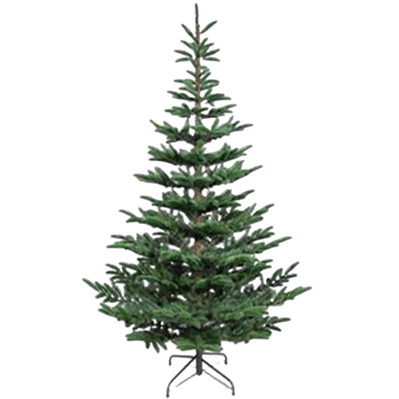 ნაძვის ხე Robin Hood 180 კლასიკური 180 სმ