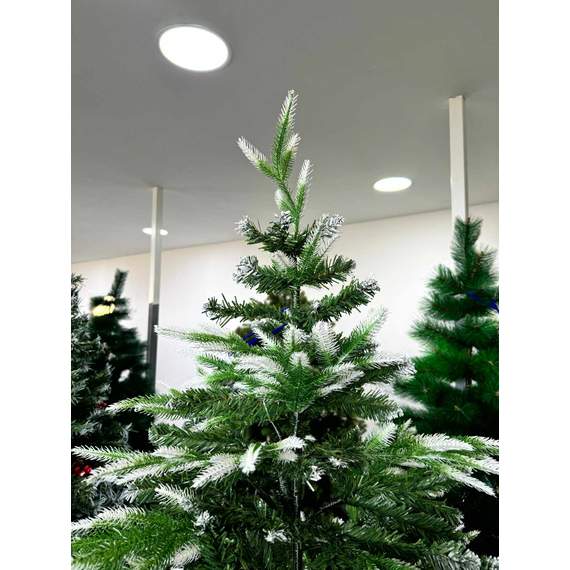 ნაძვის ხე Dz2306  210 სმ, 3 image