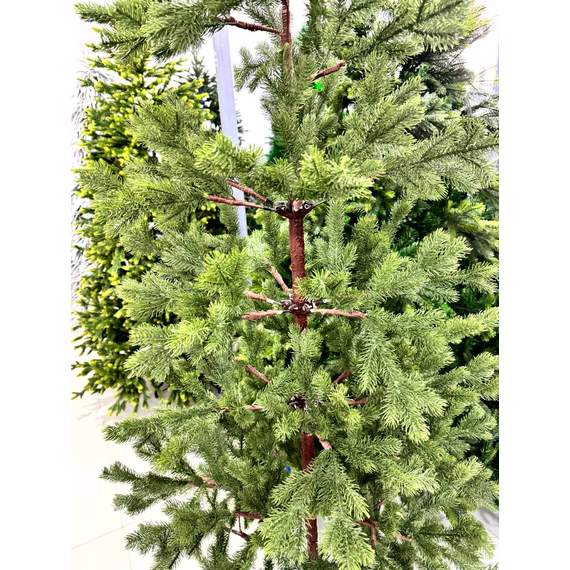 ნაძვის ხე Dz2309  180 სმ, 2 image