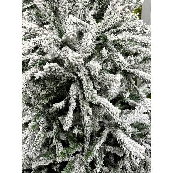 ნაძვის ხე Dz2312 დათოვლილი 240 სმ, 2 image