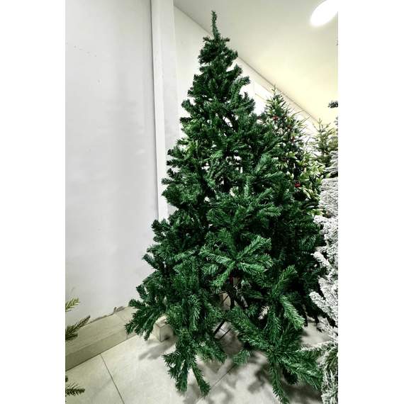 ნაძვის ხე Dz2313  270 სმ