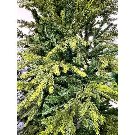 ნაძვის ხე Dz2314  240 სმ, 3 image