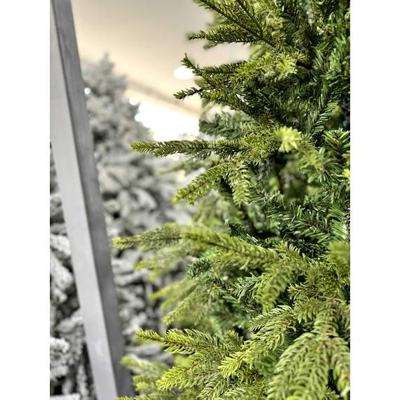 ნაძვის ხე Dz2314  240 სმ, 4 image